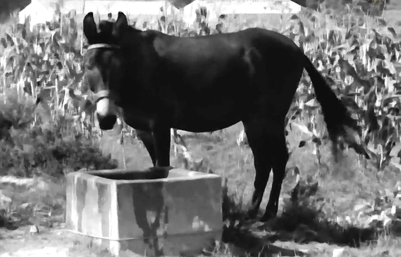 Distrito de Faro: o Algarve e a Serra