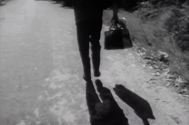 Emigrante Não é Profissão