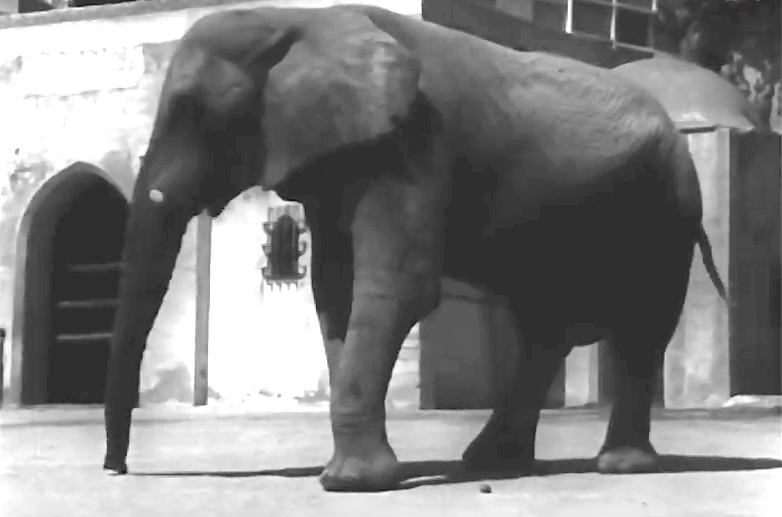 Jardim Zoológico de Lisboa