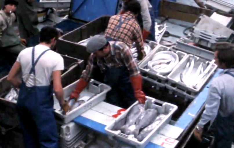 Mare Nostrum, Patria Nostra – Episódio 6