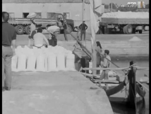 Maria do Céu Ferreira – A Força da Tenacidade