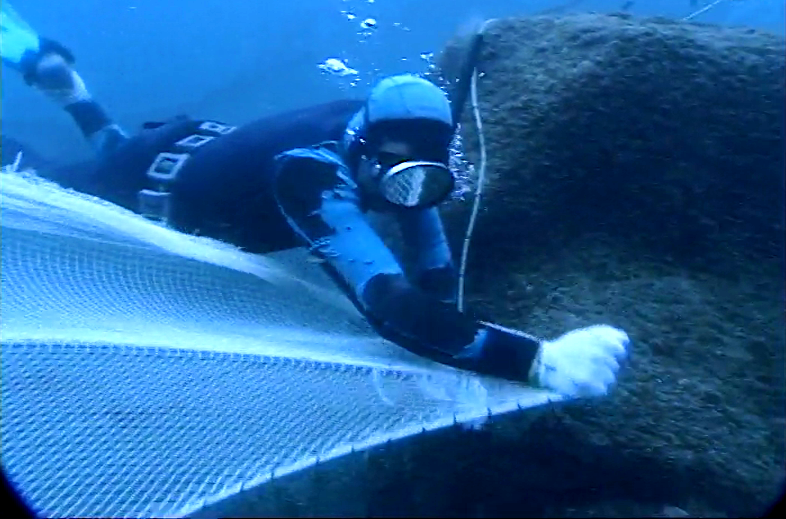 Nas Redes de Neptuno