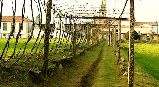 O Mosteiro de Tibães: Religião e Natureza