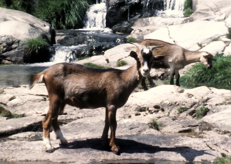 O Parque Natural do Alvão