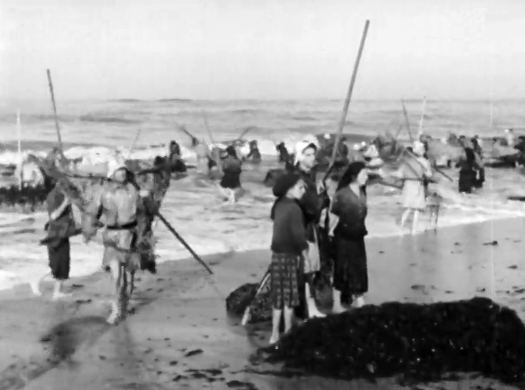 O Sargaceiro da Apúlia