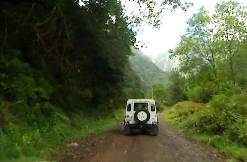 Parque Natural da Madeira