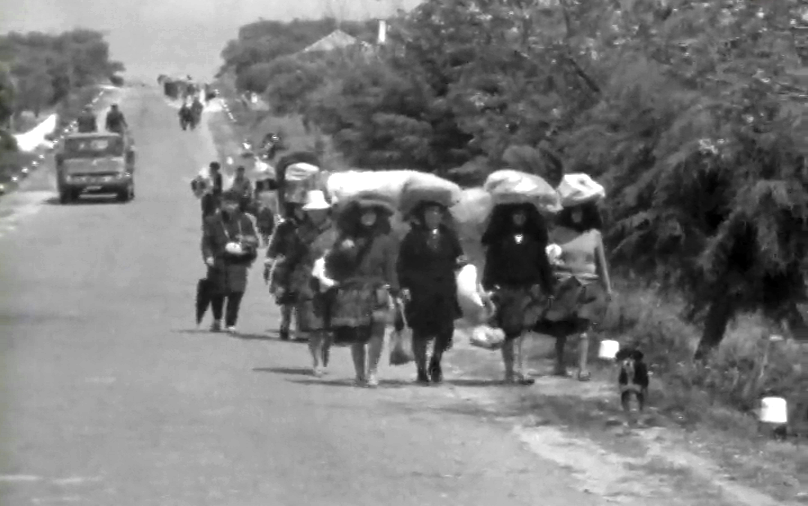 Peregrinos a Caminho de Fátima