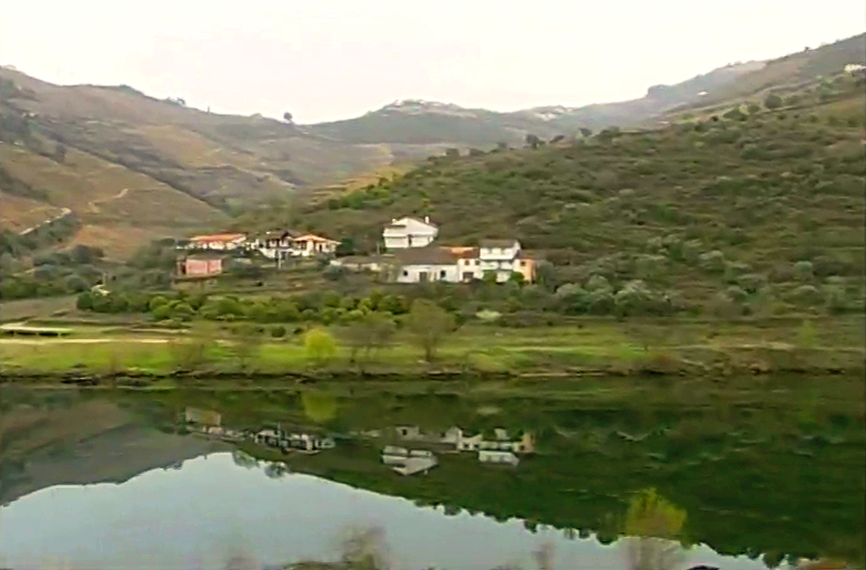 Viagem às Amendoeiras em Flor