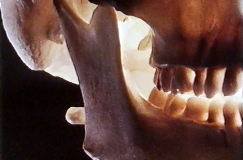 Viver com Saúde – Episódio 29