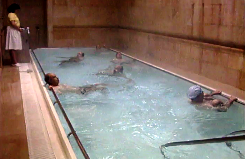 Viver com Saúde – Episódio 36