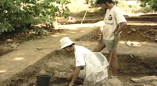 Voluntariado Jovem