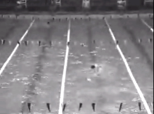 24 horas de Natação do F. C. Porto