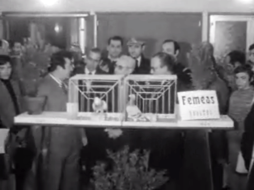 Exposição Columbófila