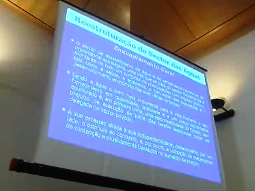 Privatização das Águas de Portugal