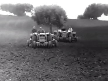 Eleições das autarquias locais no Alentejo