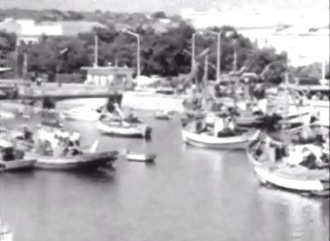 Escassez de peixe devido à poluição marítima