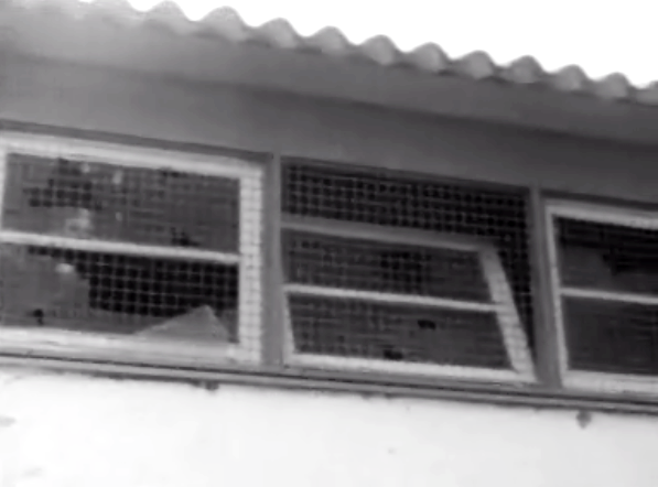 Assalto a escola primária