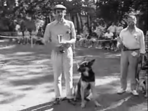 Exposição canina em Braga