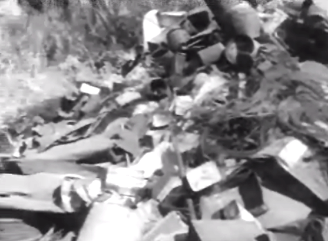 O lixo e as lixeiras a céu aberto