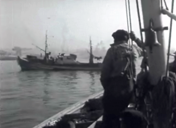 O Mar também dá Pão