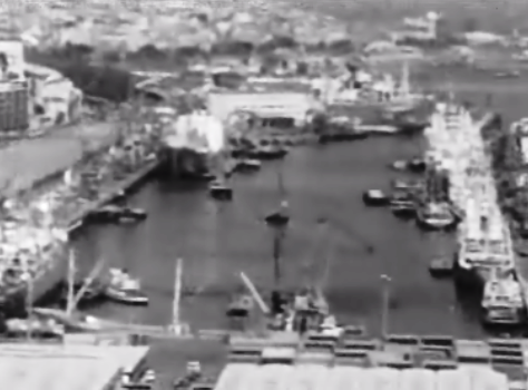 A poluição no Rio Tejo