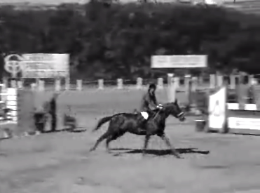 Concurso Hípico na Ericeira