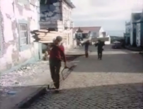 Consequências do Sismo na Ilha de São Jorge