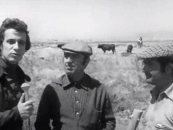 Preparativos para a XII Corrida TV