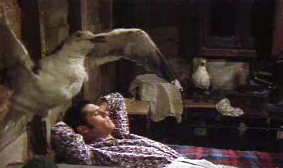 Chuva na Areia Ep. 54, parte II