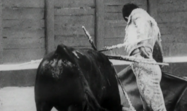 Um Dia Com… José Falcão