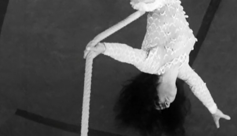 Um Dia Com… Circo Cardinali