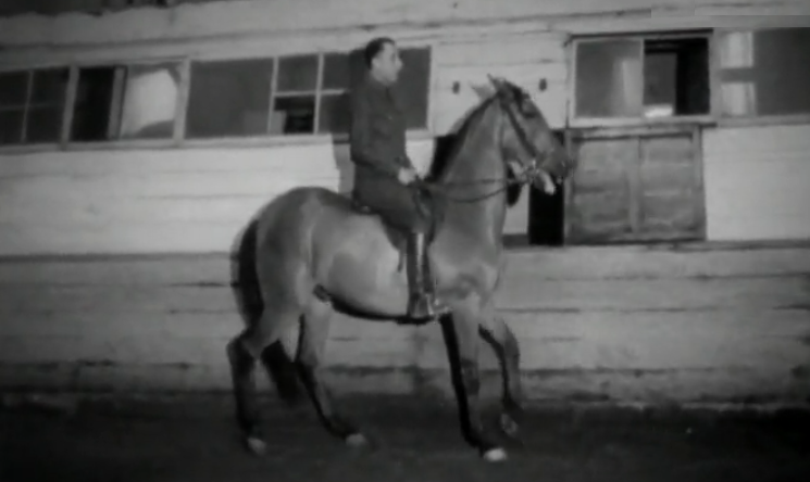 Um Dia Com… António Manuel Lopes