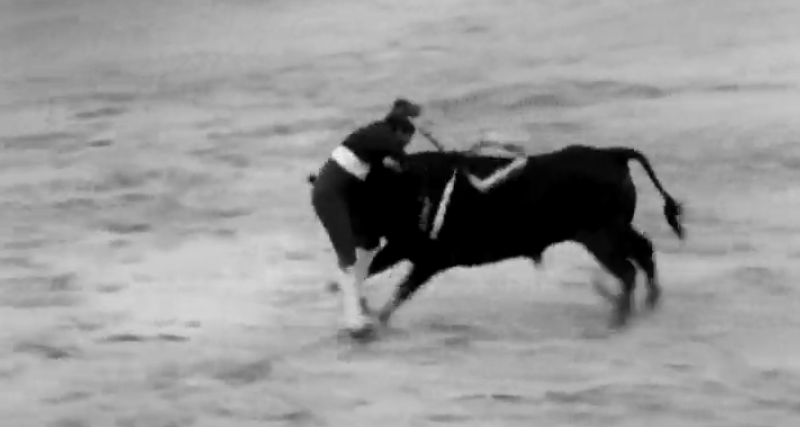 Um Dia Com… Forcados de Santarém