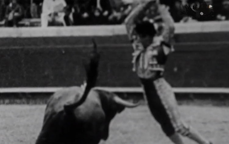 Um Dia Com… José Tinoca