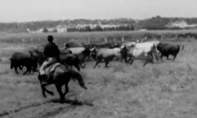 Um Dia Com… Fernando Salgueiro