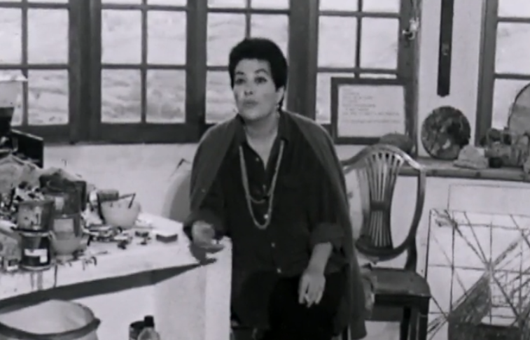 Um Dia Com… Ana Maria Botelho