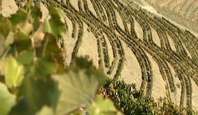 José Carlos Pereira