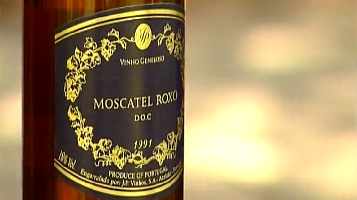 António-Pedro Vasconcelos