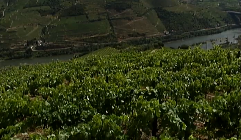 Francisco José Viegas