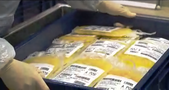 Detenção de Luís Cunha Ribeiro