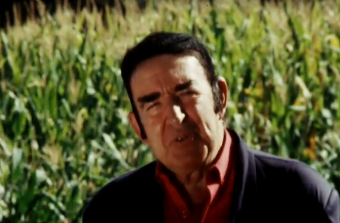 Morte de Sousa Veloso