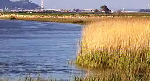 Vila Franca de Xira: Mágoas do Tejo