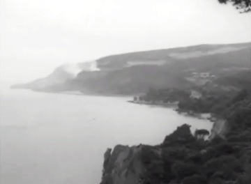 A Ecologia – I Parte