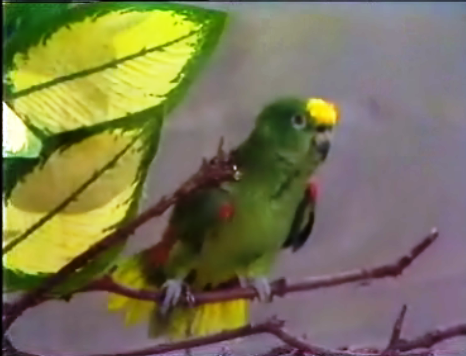 Férias no barco do amor – Parte I