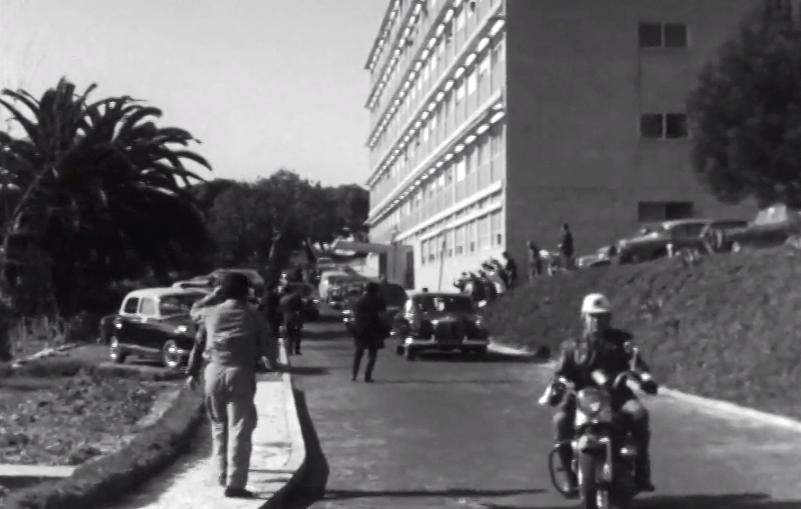 Hospital da Cruz Vermelha dá alta a Oliveira Salazar