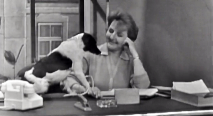 As Aventuras de Eva – Ep. 08