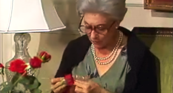 Vila Faia – Ep. 01