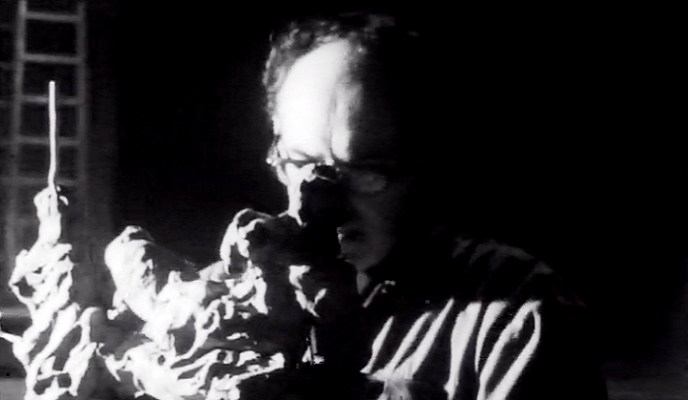 Um Dia Com… Lagoa Henriques