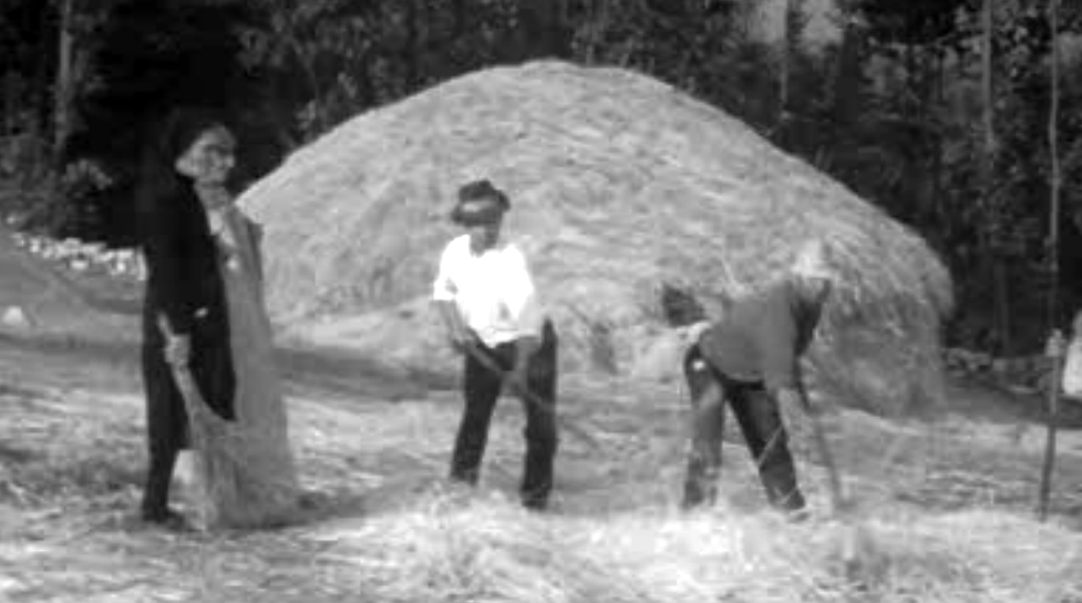 Cantos do Trabalho na Malha