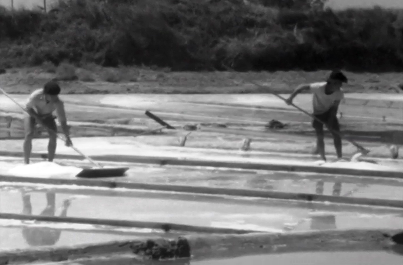 O Homem e o Trabalho